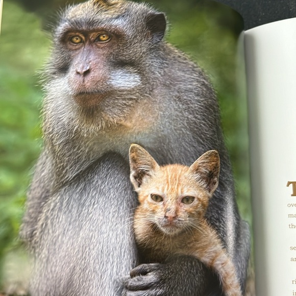 Two Heartwarming Books Humble & Kind and Unlikely Friendships Both EXC! - Picture 15 of 16